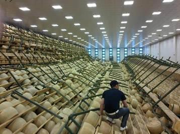 parmigiano